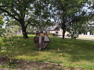 Insectes - Lycée Jean XXIII