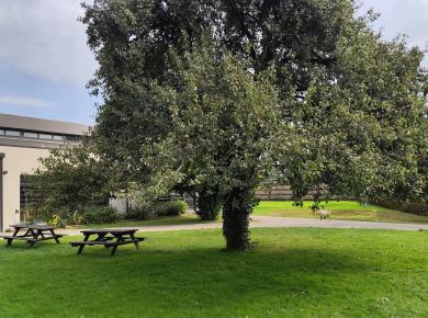 Parc - Lycée Jean XXIII