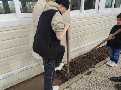 Plantations - Lycée Jean XXIII