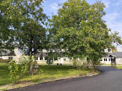 Extérieur - Lycée Jean XXIII