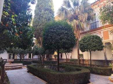 L’Andalousie – Séville, Cadix, Grenade - février 2025