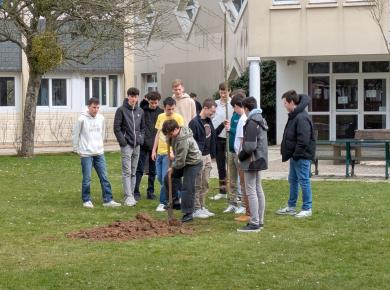 Atelier "Greffe" - Mars 2025