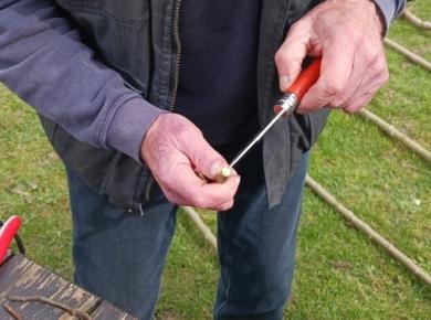 Atelier "Greffe" - Mars 2025